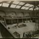 Image for article titled A digitization project and the tale of a 1928 sperm whale dissection